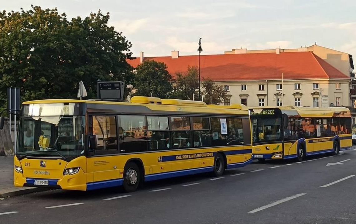 1 listopada autobusami pojedziemy za darmo. Sprawdź dodatkowe linie