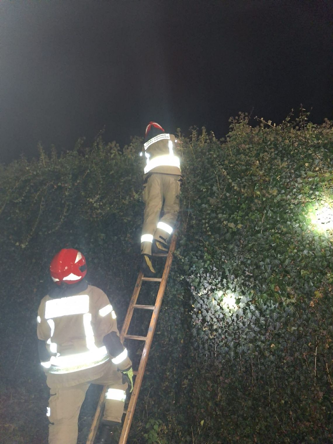 12-latek... w żywopłocie. Uwolnili go strażacy