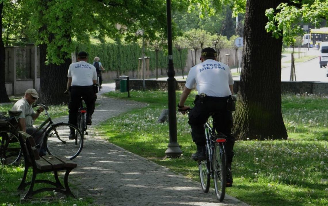 16 wierszyków o Straży Miejskiej. Wybierz najlepszy