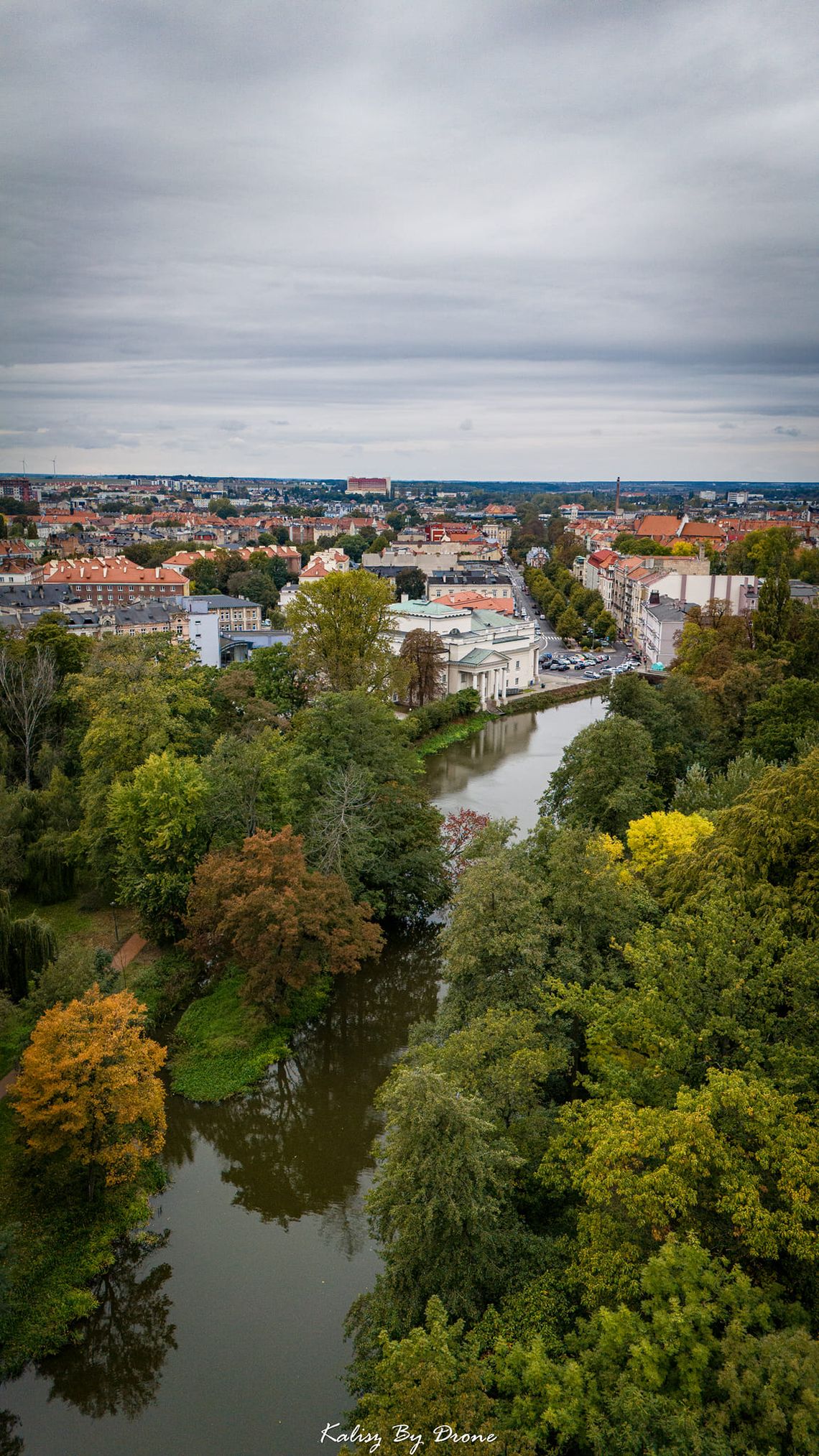 19 NOWYCH ofert pracy. KALISZ i okolice