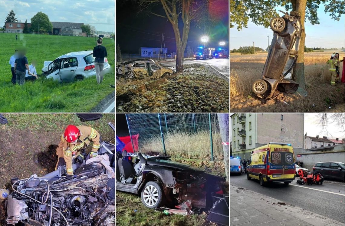 19 osób straciło życie na drogach Kalisza i powiatu. Przerażające dane kaliskiej policji