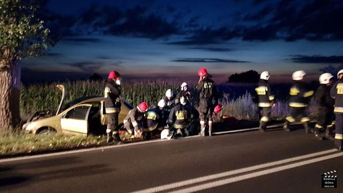 20-latka wjechała w drzewo ZDJĘCIA