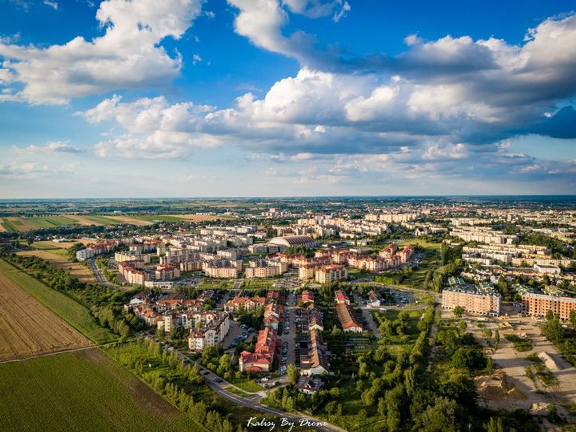 24 nowe oferty pracy. Kogo szukają w tym tygodniu pracodawcy?