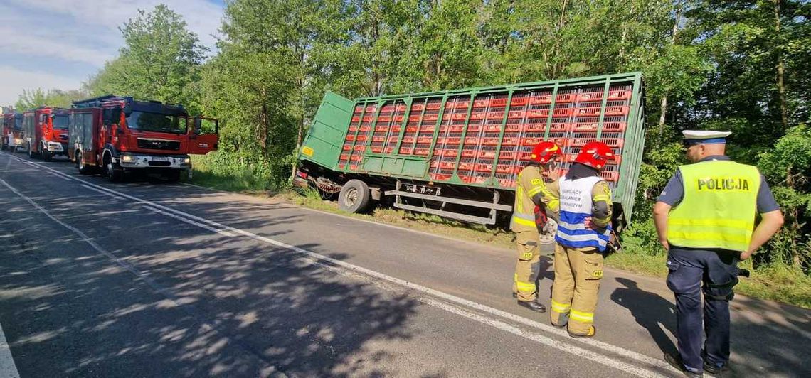 Chwila nieuwagi? Ciężarówka z gęsiami wypadła z drogi