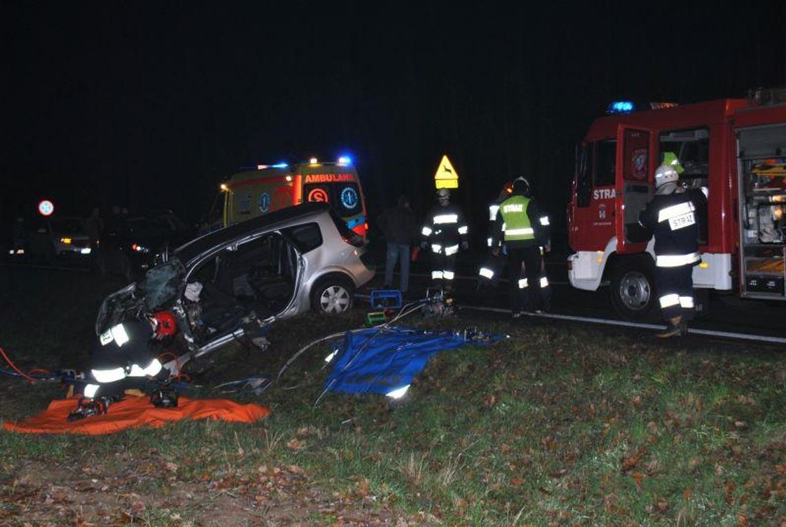 40-letnia kaliszanka zginęła w Gołuchowie ZDJĘCIA