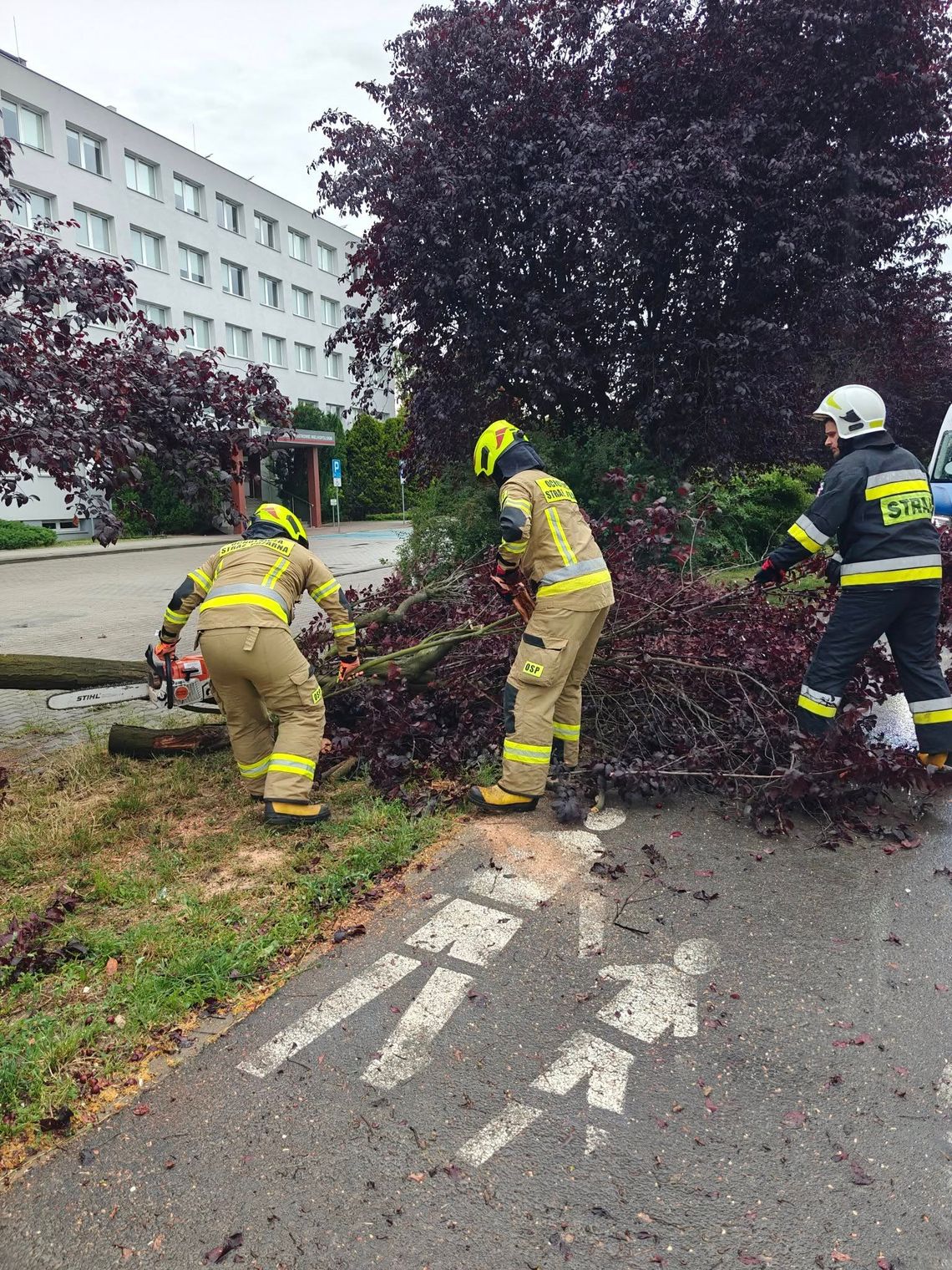 500 interwencji. Bilans po burzy nad Wielkopolską