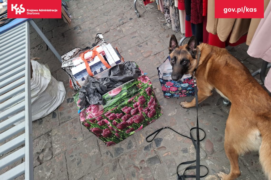 Akcja służb na targowisku w powiecie KALISKIM. "Czujny nos" Pandy