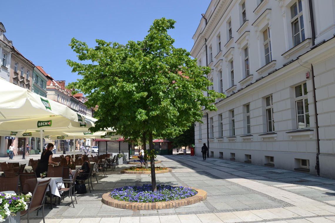 Architekci na start. W grudniu poznamy koncepcję rewitalizacji śródmieścia