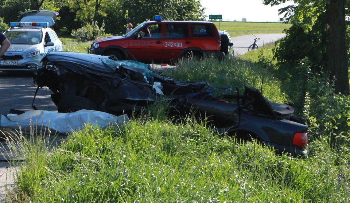 Audi uderzyło w drzewo. Kierowca nie żyje ZDJĘCIA