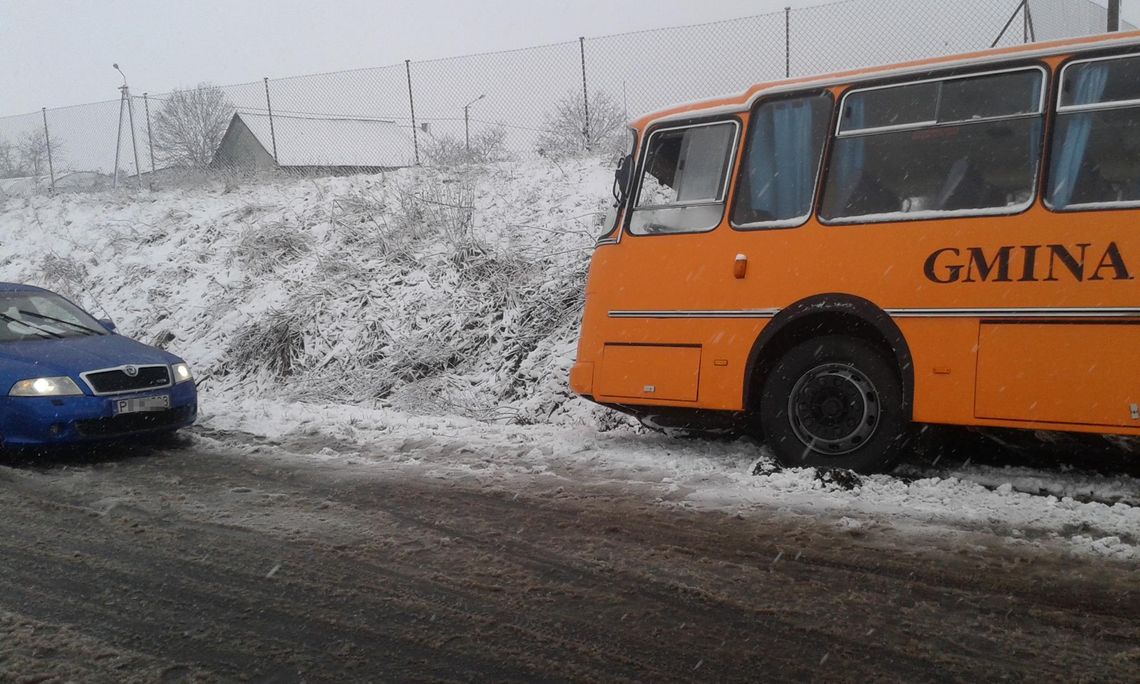 Autobus z grupą 44 dzieci w rowie ZDJĘCIA