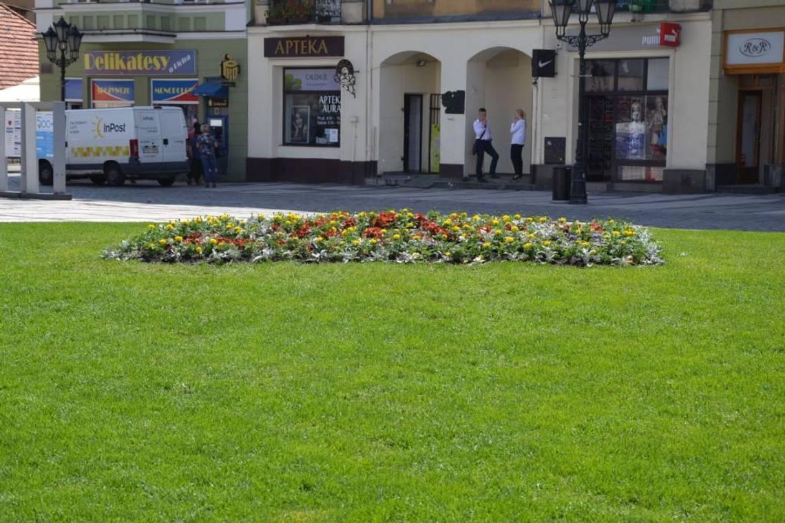 Będą głębokie wykopy na rynku. Czego szukają archeolodzy?