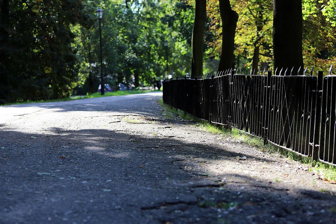 Będzie ładniej! Niebawem rusza rewaloryzacja Parku Miejskiego