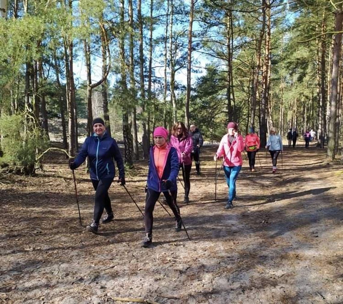 Bezpłatne zajęcia nordic walking dla amatorów