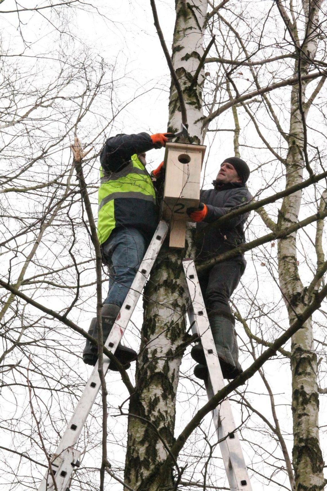 Budki dla gągołów - prezent od osadzonych