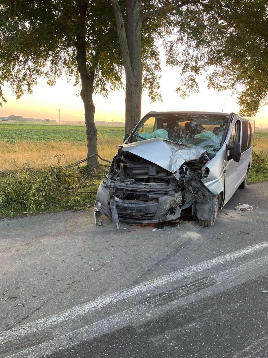 Busem w drzewo. Kierowca kompletnie pijany