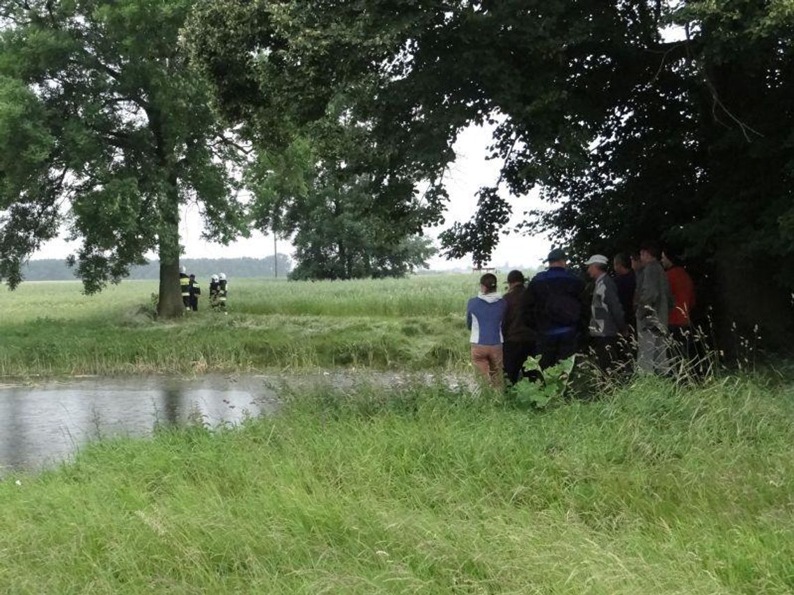 Byk siał postrach we wsi, ścigała go policja ZDJĘCIA