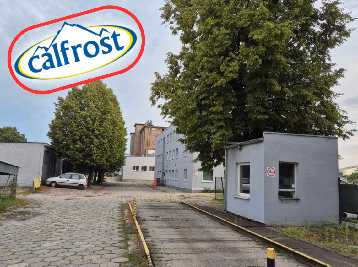 Calfrost Kalisz do wyburzenia? Deweloper stawia warunki