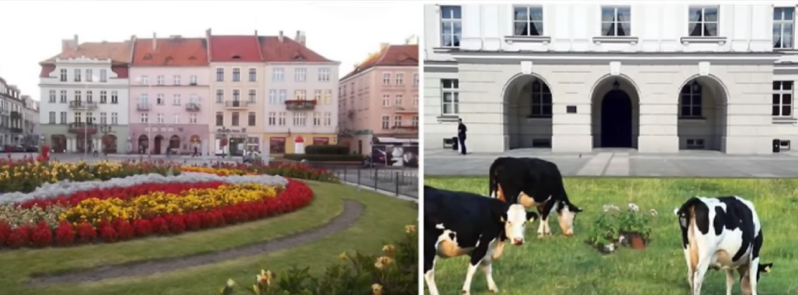 Challenge 2016. Taki był i tym żył KALISZ {ZDJĘCIA}