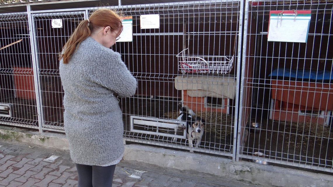 Chciała adoptować schorowaną Telmę. Przegrała z biurokratyczną machiną