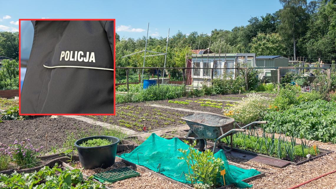 ,,Chciałbym kogoś zabić''. Nietypowa interwencja na terenie ogródków działkowych ,,Chciałbym kogoś zabić''. Nietypowa interwencja na terenie ogródków działkowych