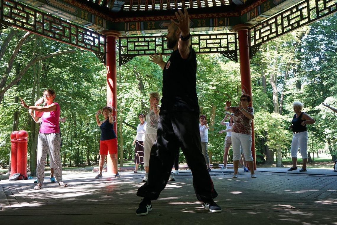 Chińskie ćwiczenia kluczem do zdrowia i szczęścia? Tai Chi i Qi Gong dla seniorów w Parku Miejskim WIDEO