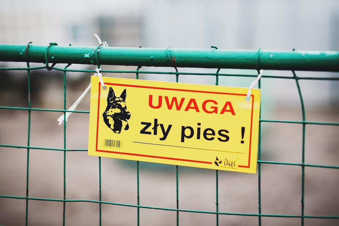 Chłopiec pogryziony przez psa przeszedł operację