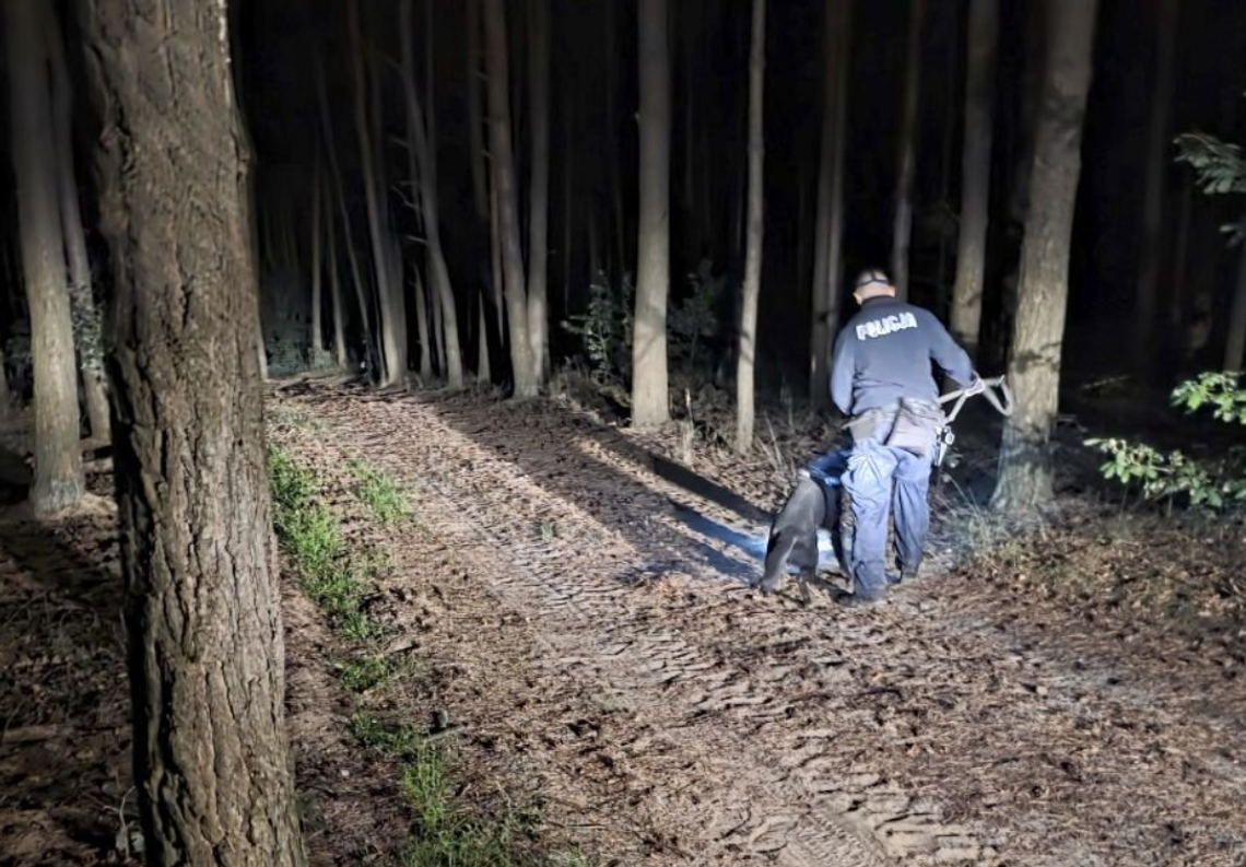 Ciało odnalezione w lesie. Nie żyje młody mężczyzna