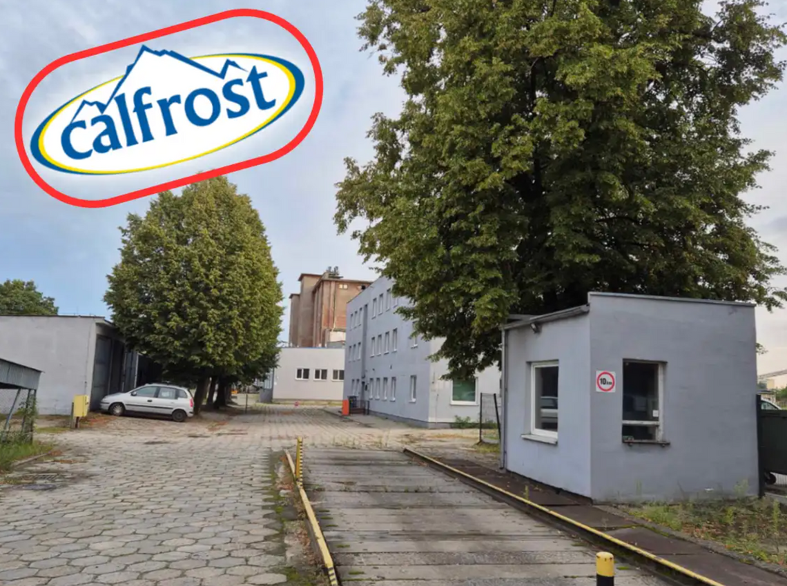 Co dalej z Calfrostem? Rozmawiamy z ukraińskim właścicielem
