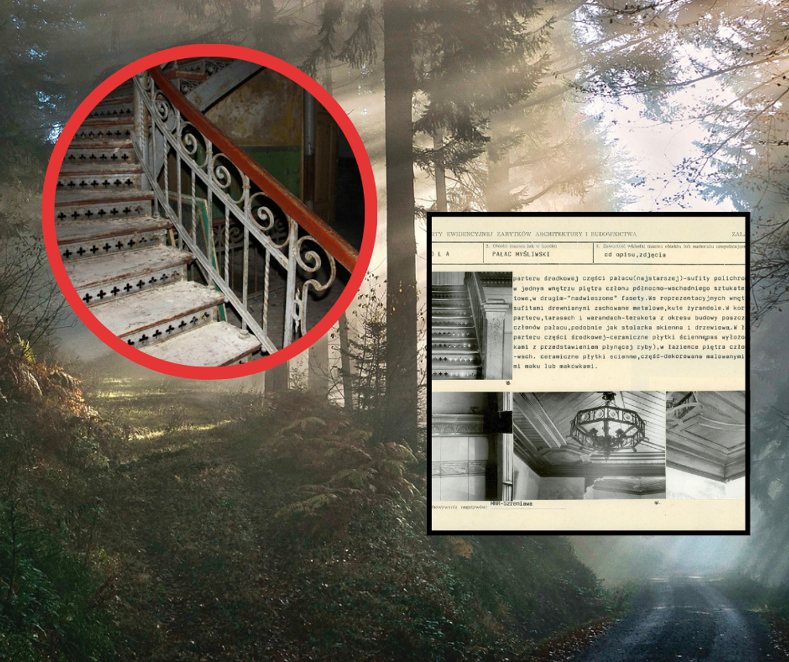 Cudo architektury ukryte w LESIE! Przyciąga ciekawskich z całego kraju ZDJĘCIA