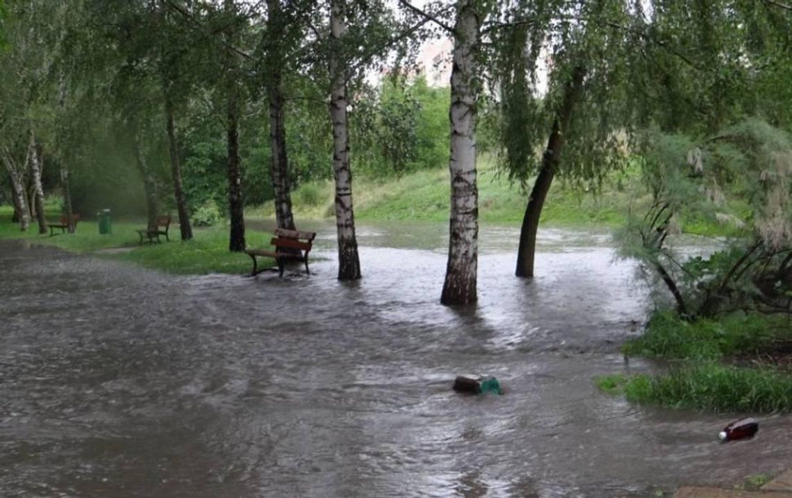 Czyszczenie Krępicy jeszcze w tym roku