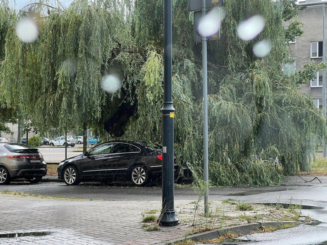 Deszcz, wiatr, burze. Niespokojna końcówka lipca