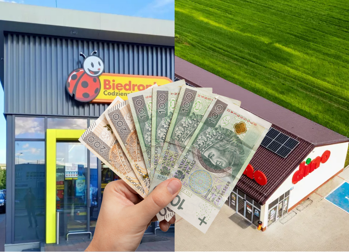 Dino czy Biedronka? Która sieć marketów najbogatsza?