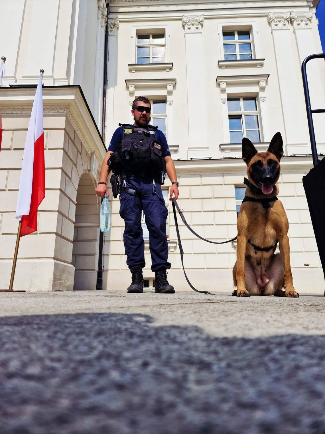 Do policyjnego patrolu podbiegł PIES. Jego właściciel ma teraz problemy