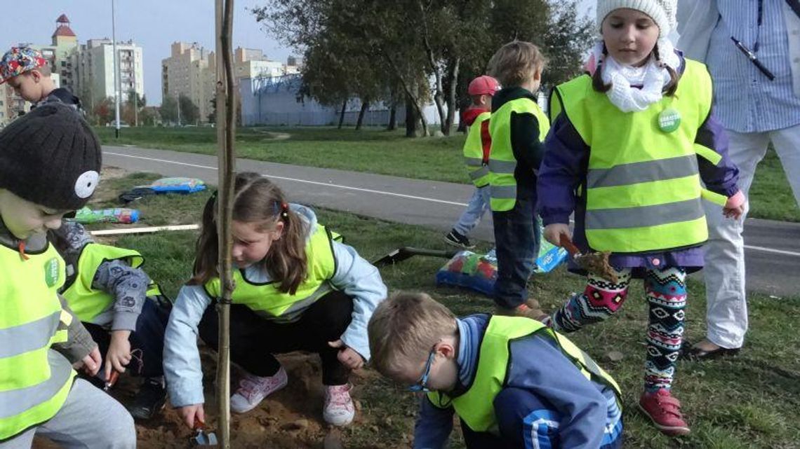 Dobrzec się zazielenił ZDJĘCIA