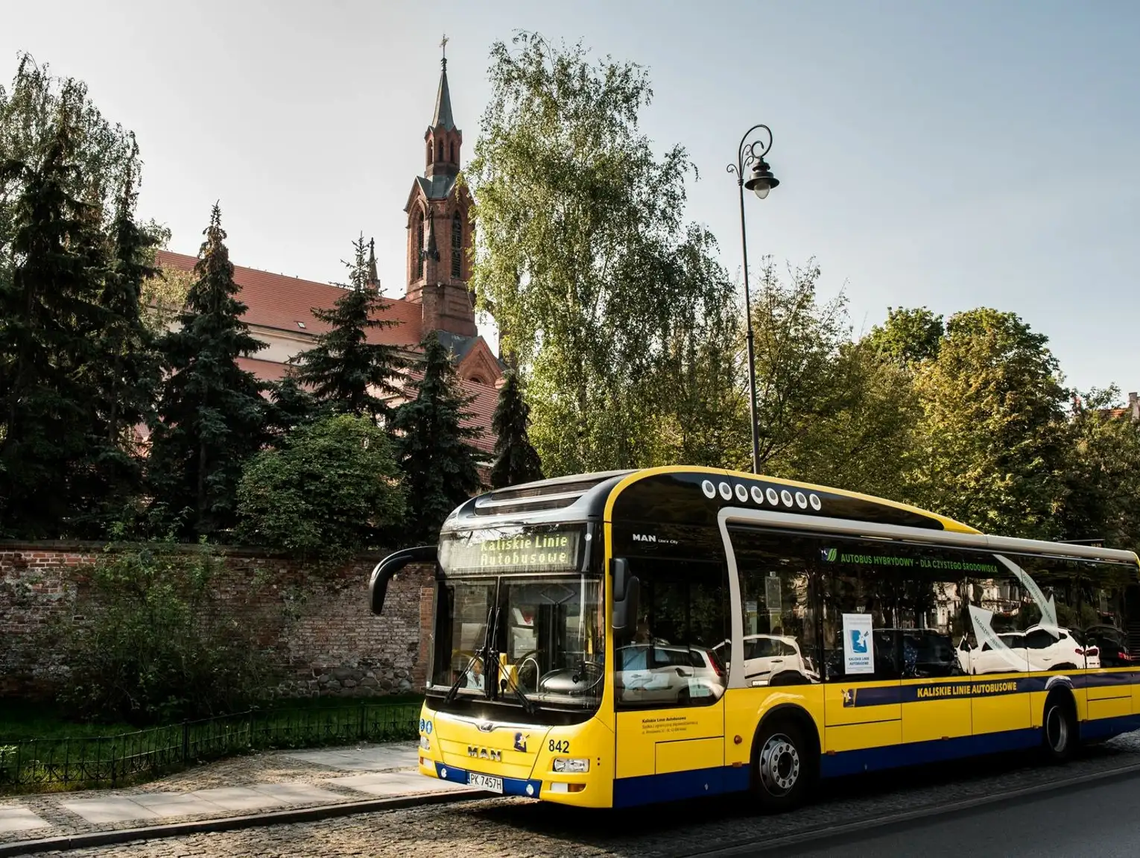 Dodatkowe linie, brak opłat. Rozkład jazdy KLA na Wszystkich Świętych