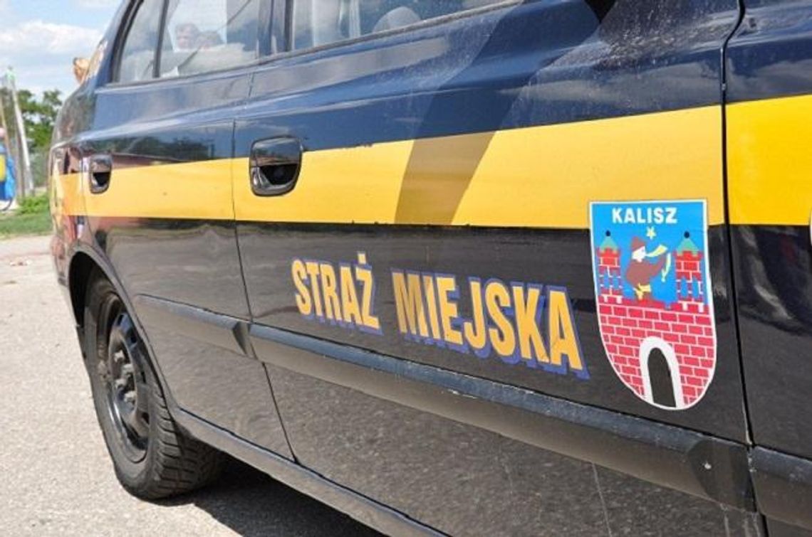 Dodatkowy patrol będzie pilnował porządku w mieście