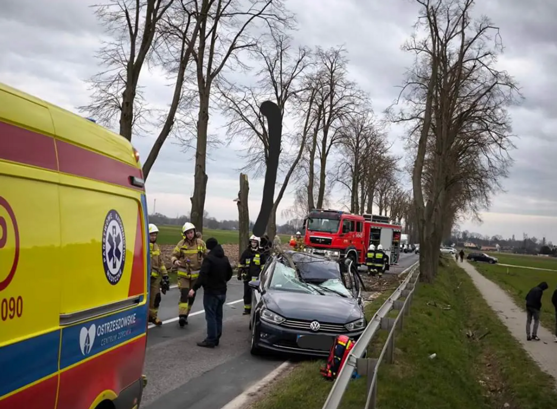 Drzewo spadło na jadące auto. Jedna osoba poszkodowana