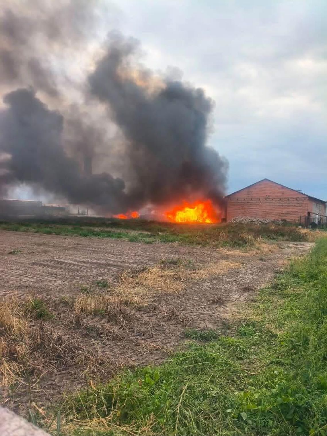 Duży POŻAR tuż za Kaliszem! Dym widoczny z kilku kilometrów