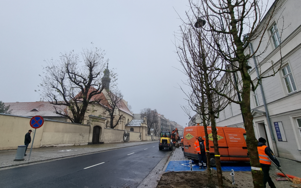 Dwa pasy ruchu, ścieżka rowerowa, nowe drzewa. Tak zmieniła się ul. Śródmiejska