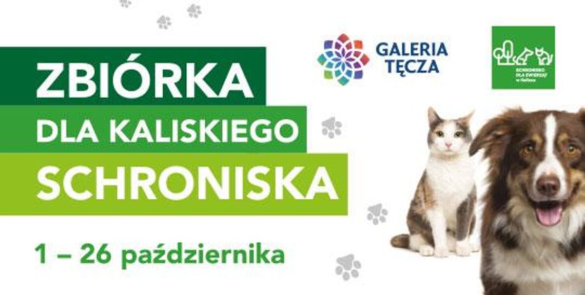 Galeria Tęcza wspiera kaliskie schronisko i zaprasza do zbiórki darów dla zwierzaków