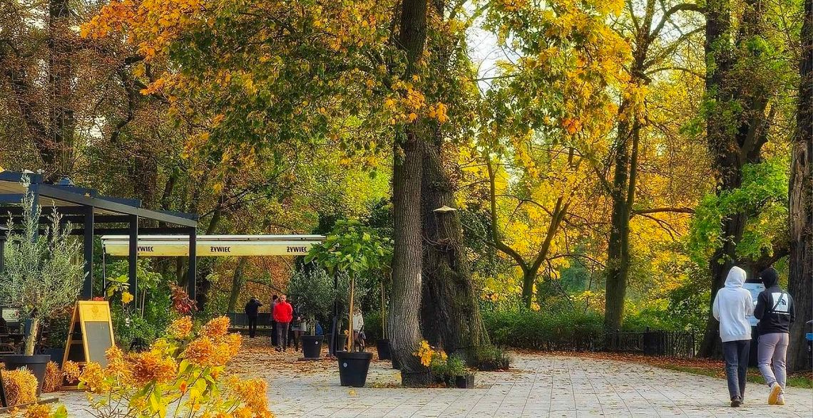 GIEŁDA pracy. Kalisz i okolice