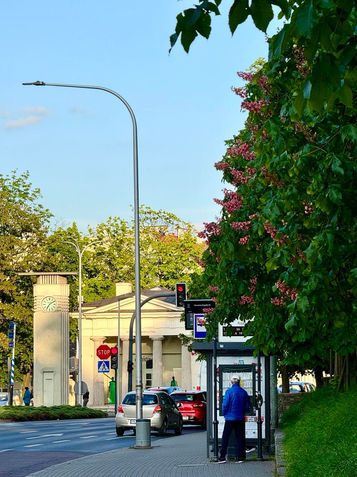 Giełda pracy KALISZ I OKOLICE - 24 oferty