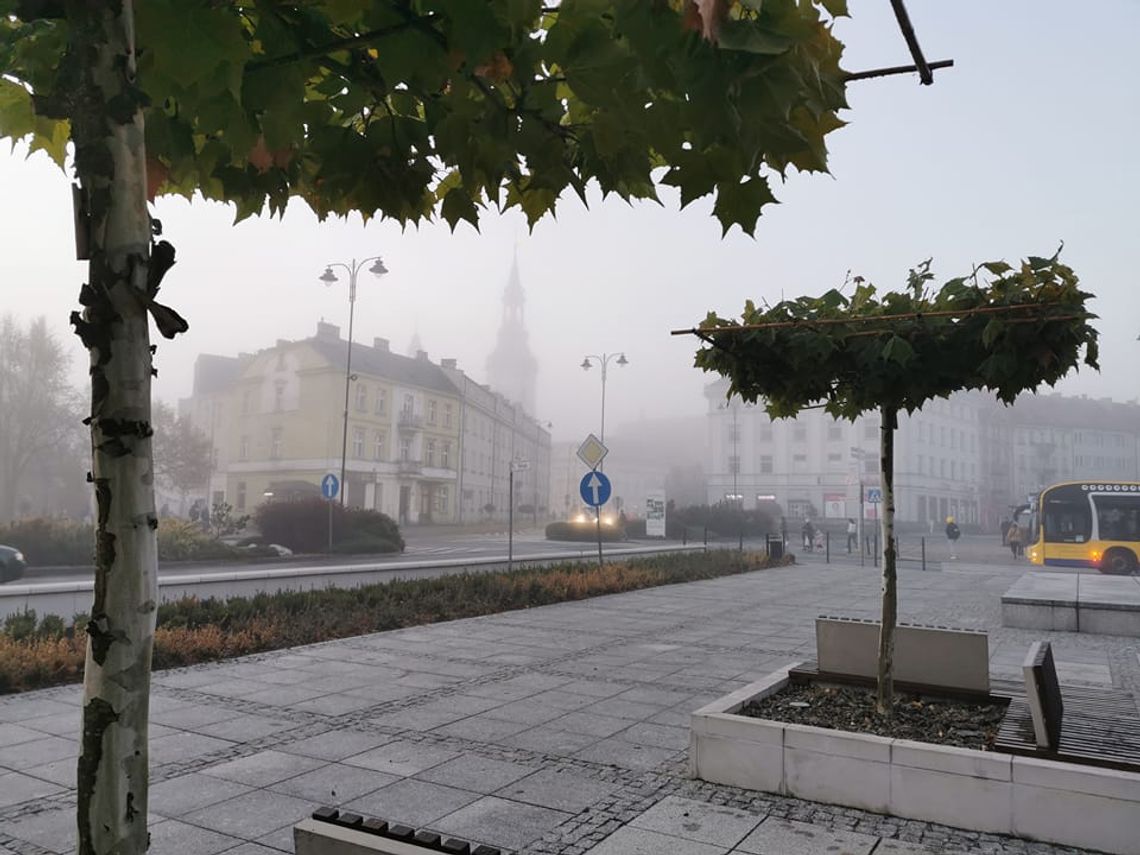 Giełda pracy z Kalisza