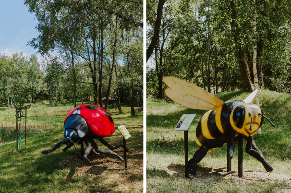 „Giga owady” na osiedlu. Nowa atrakcja w Kaliszu „Giga owady” na osiedlu. Nowa atrakcja w Kaliszu