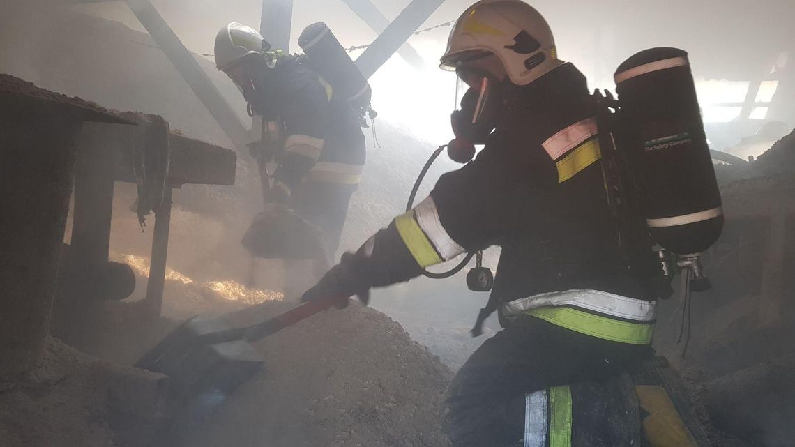 Groźny pożar stolarni. W akcji ponad 50 strażaków ZDJĘCIA