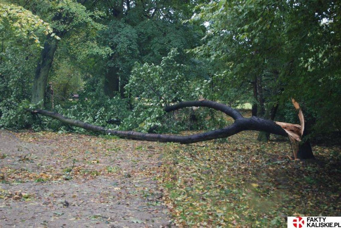 „Grzegorz” potraktował nas łagodnie