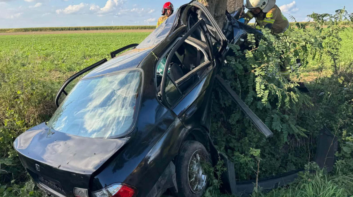 Honda wypadła z jezdni. Samochód wbił się w drzewo Honda wypadła z jezdni. Samochód wbił się w drzewo