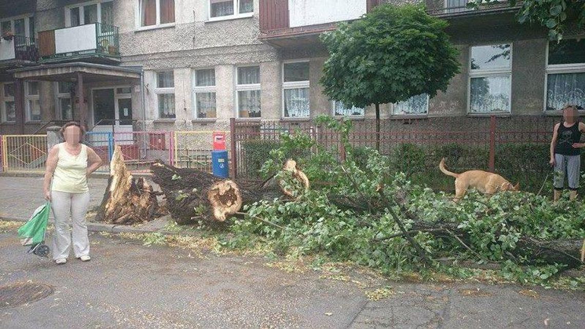 IMGW: Nad region nadciąga silny wiatr