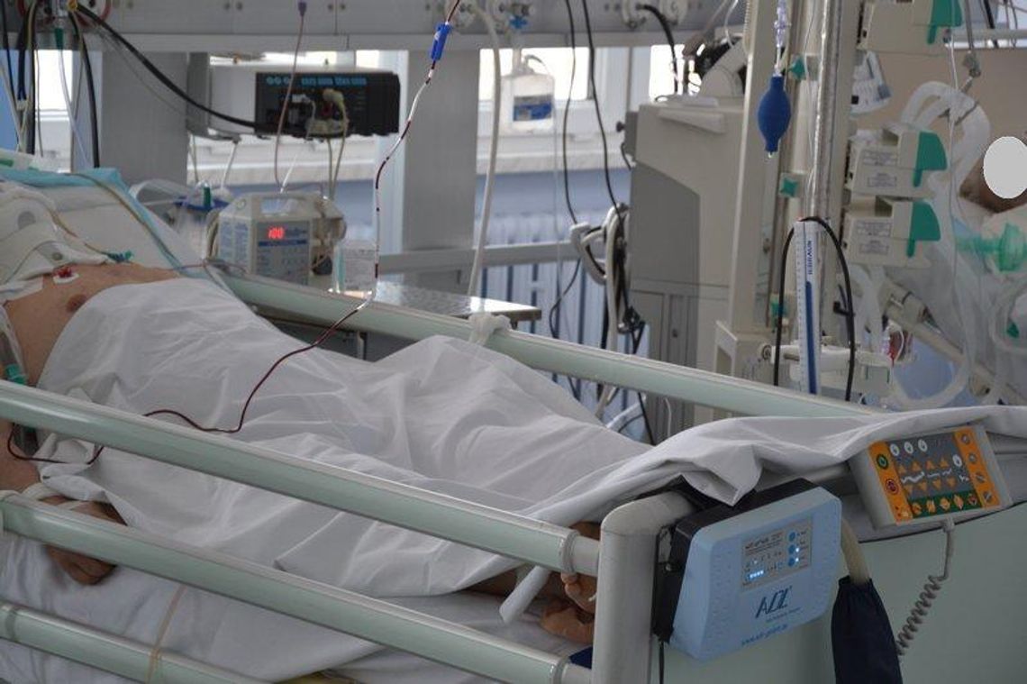 Impreza z amfetaminą, alkoholem i finałem w … szpitalu psychiatrycznym