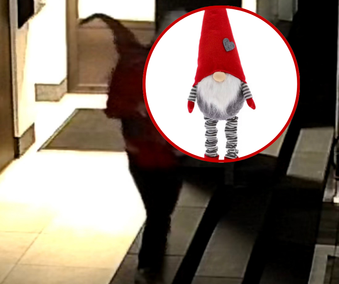 Jak tak można?! Ukradł krasnala - prezent od wnucząt Jak tak można?! Ukradł krasnala - prezent od wnucząt